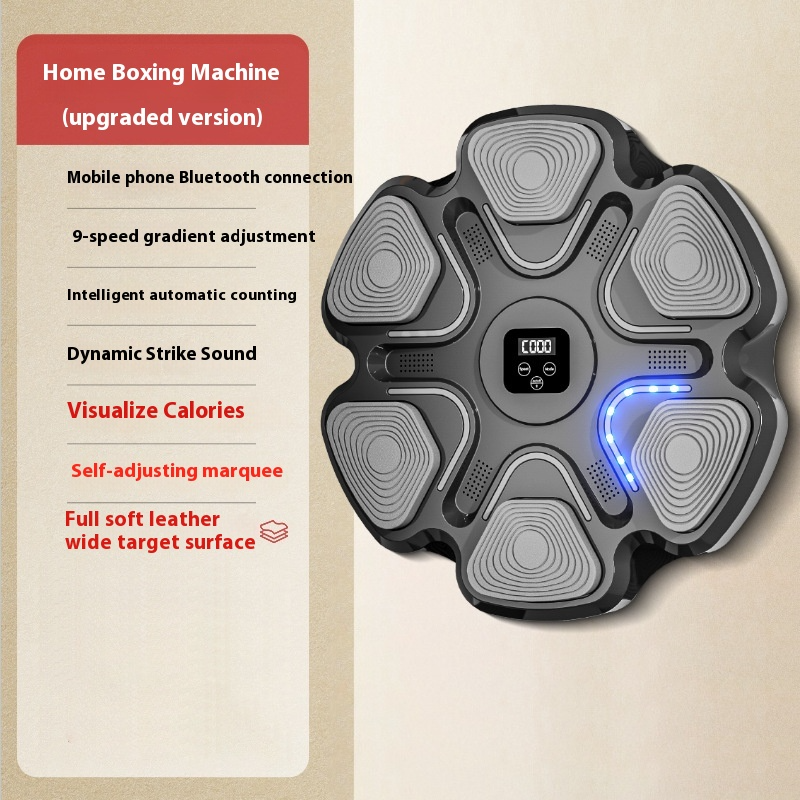 Smart Boxing Target